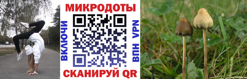 Псилоцибиновые грибы MAGIC MUSHROOMS  Венёв 