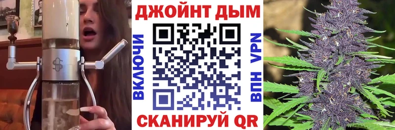 Каннабис SATIVA & INDICA Венёв
